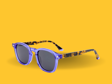 vuegaze sunny side up (2)